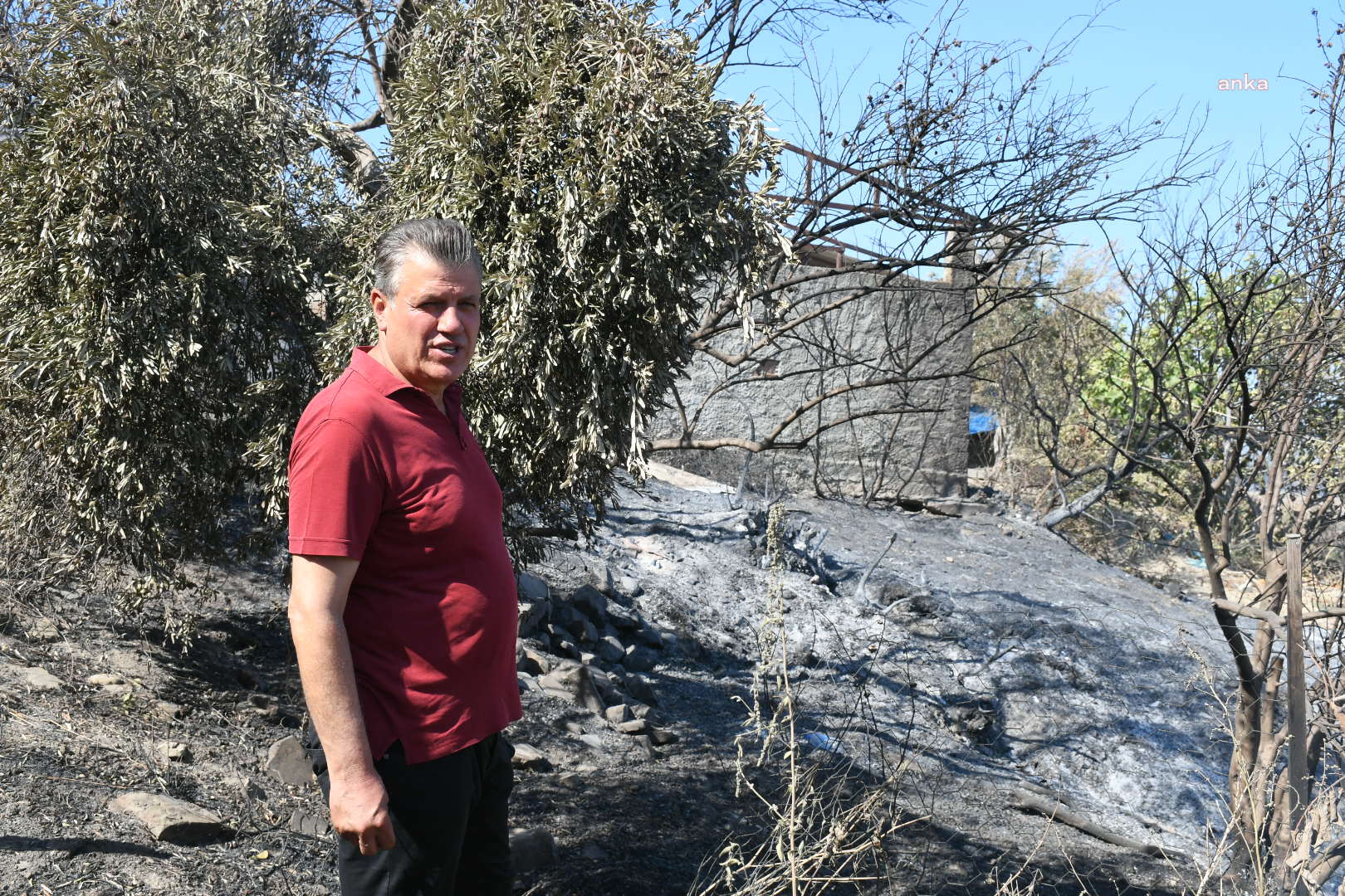 Ayhan Barut'tan orman yangınlarına karşı seferberlik çağrısı