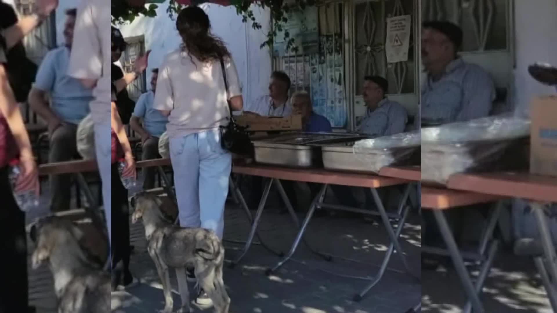 Manisa Gördes'te 3 gün önce başlayan ve Salihli ilçe sınırına kadar ulaşan orman yangını devam ediyor