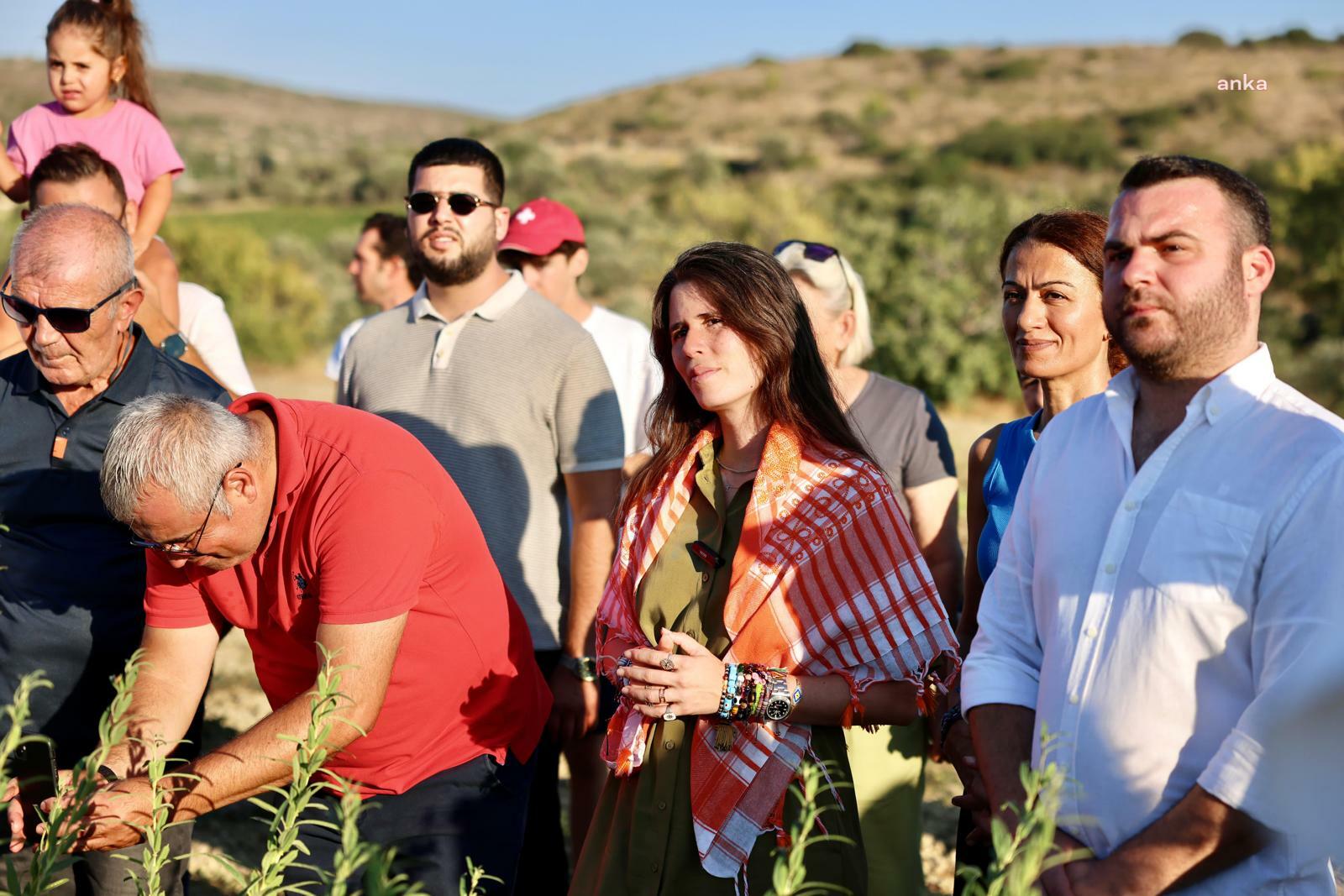 Çeşme'de ata tohumu ile susamda ilk hasat yapıldı