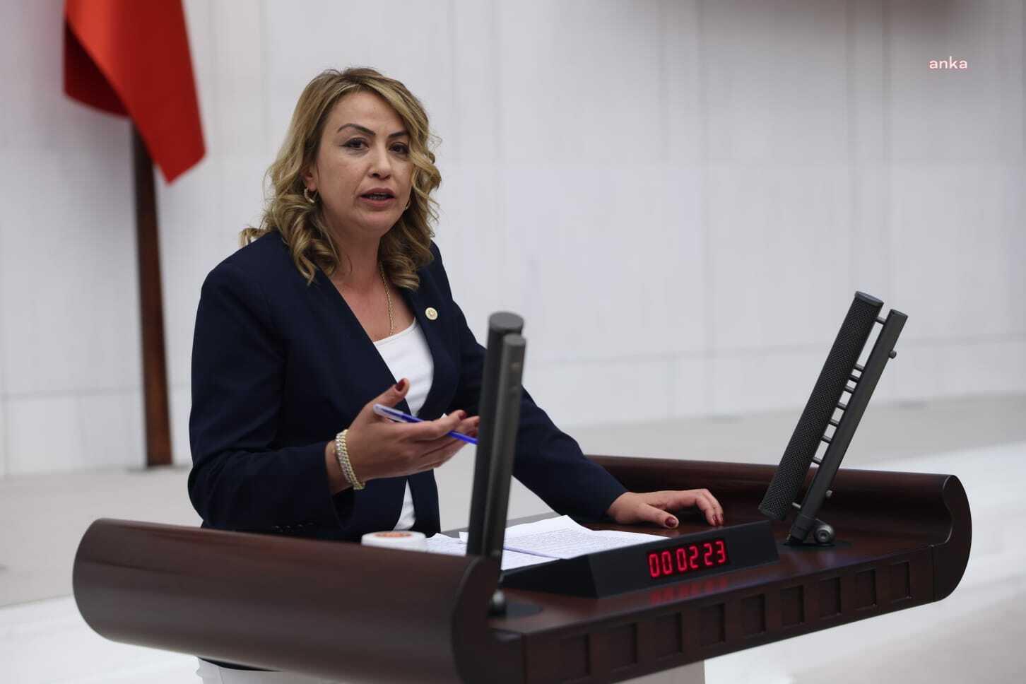 Nermin Yıldırım Kara: Hatay'da çiftçilerimiz geçimlerini sağlayamaz duruma geldi