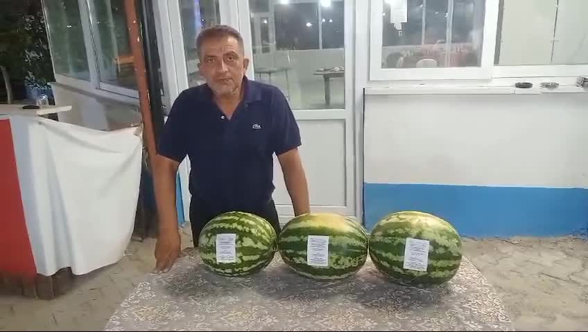 Denizli’de para etmeyen karpuz, düğün davetiyesi oldu
