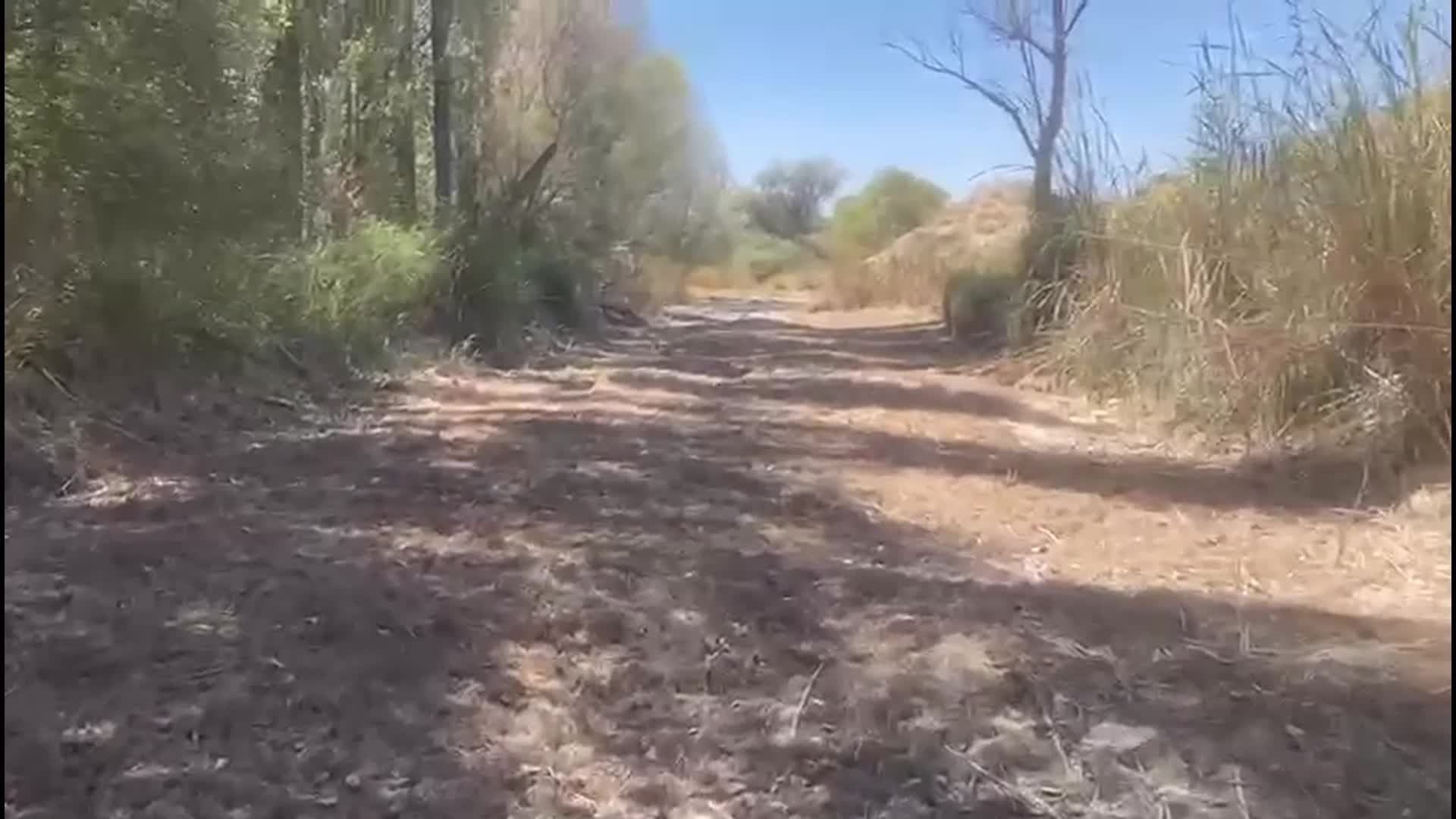 Eskişehir’in Sivrihisar ilçesinden geçen Sakarya Nehri’nin kurumasıyla çiftçiler mağdur oldu, balıklar öldü