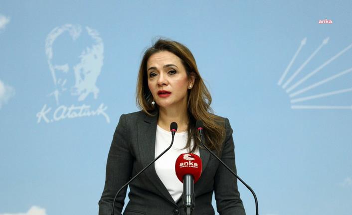 CHP Milletvekili İlgezdi: “Konu dini ve mesleki eğitim olunca musluk sonuna kadar açılıyor”