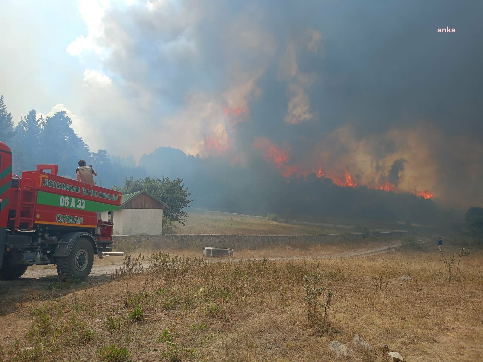 Ankara'nın Kızılcahamam ilçesinde orman yangını