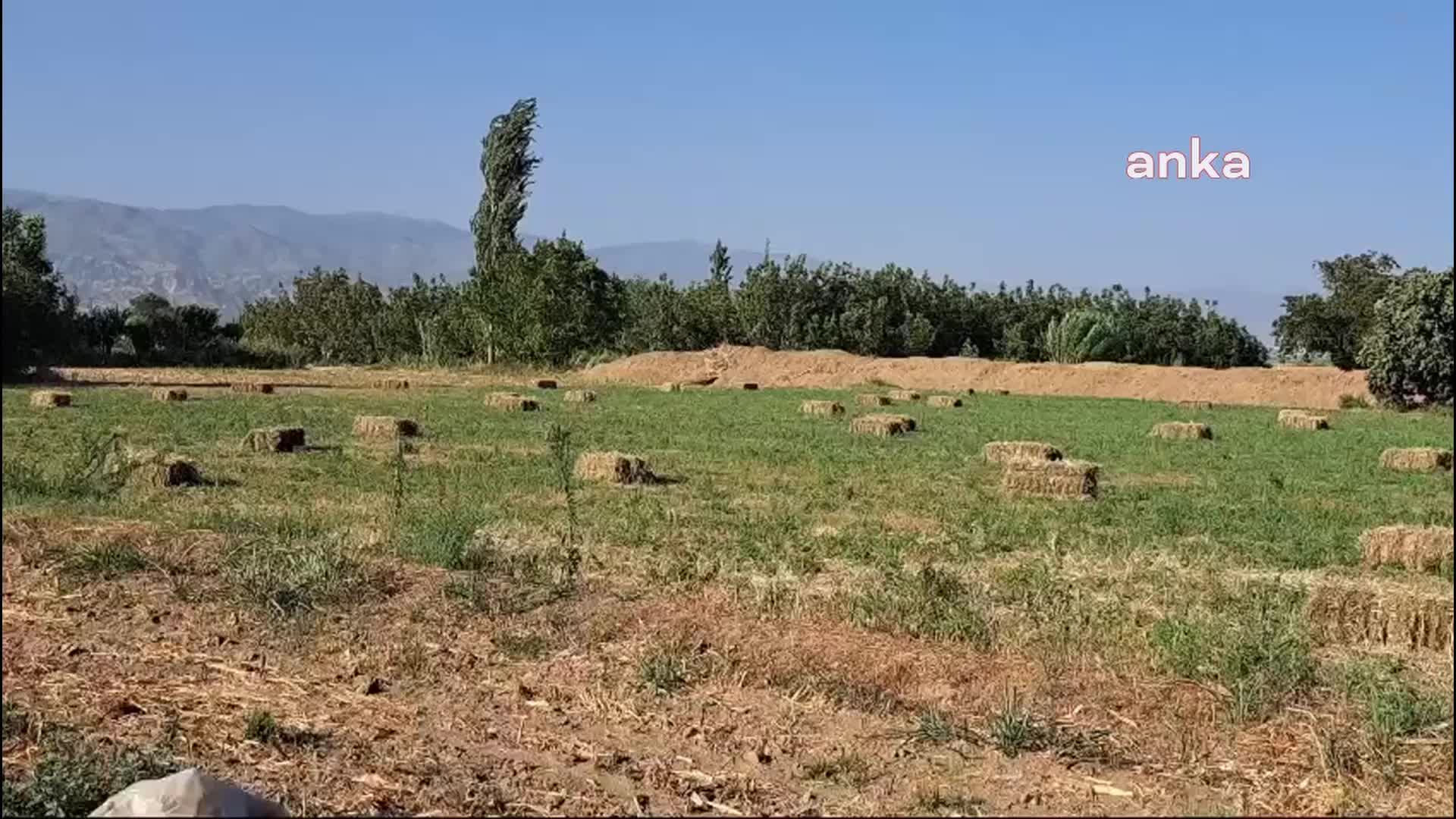 Aydın- Denizli otoyolunun verimli tarım arazisinden geçmesine tepki: "Bağlantı yolunun geçtiği topraklar çok kıymetli"