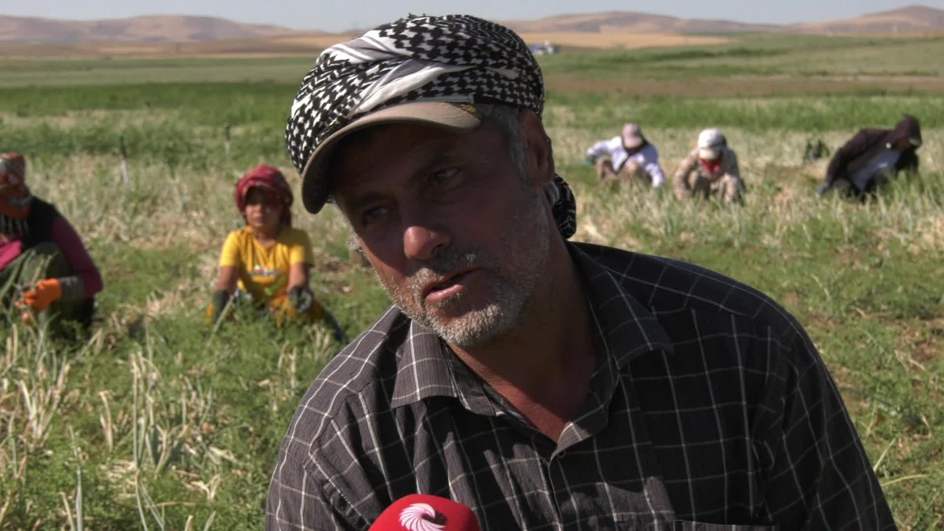 Hayat pahalılığı karşısında tarım işçileri de zor durumda: "Her şey pahalı oldu. Yevmiye 600, bir teneke yağ 1000 TL"