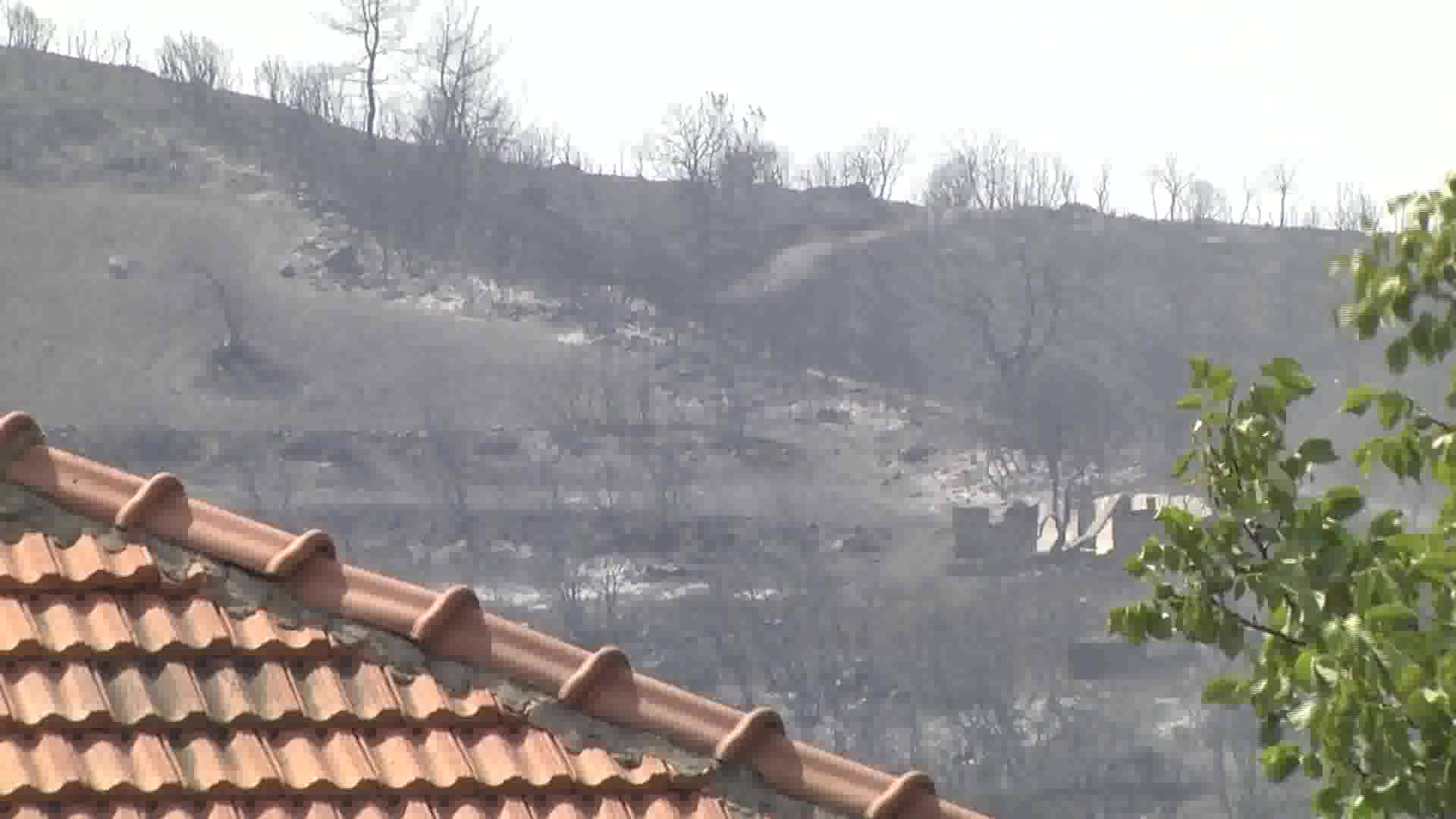 Manisa Büyükşehir Belediyesi ekipleri, yangın bölgesinde incelemelerde bulundu