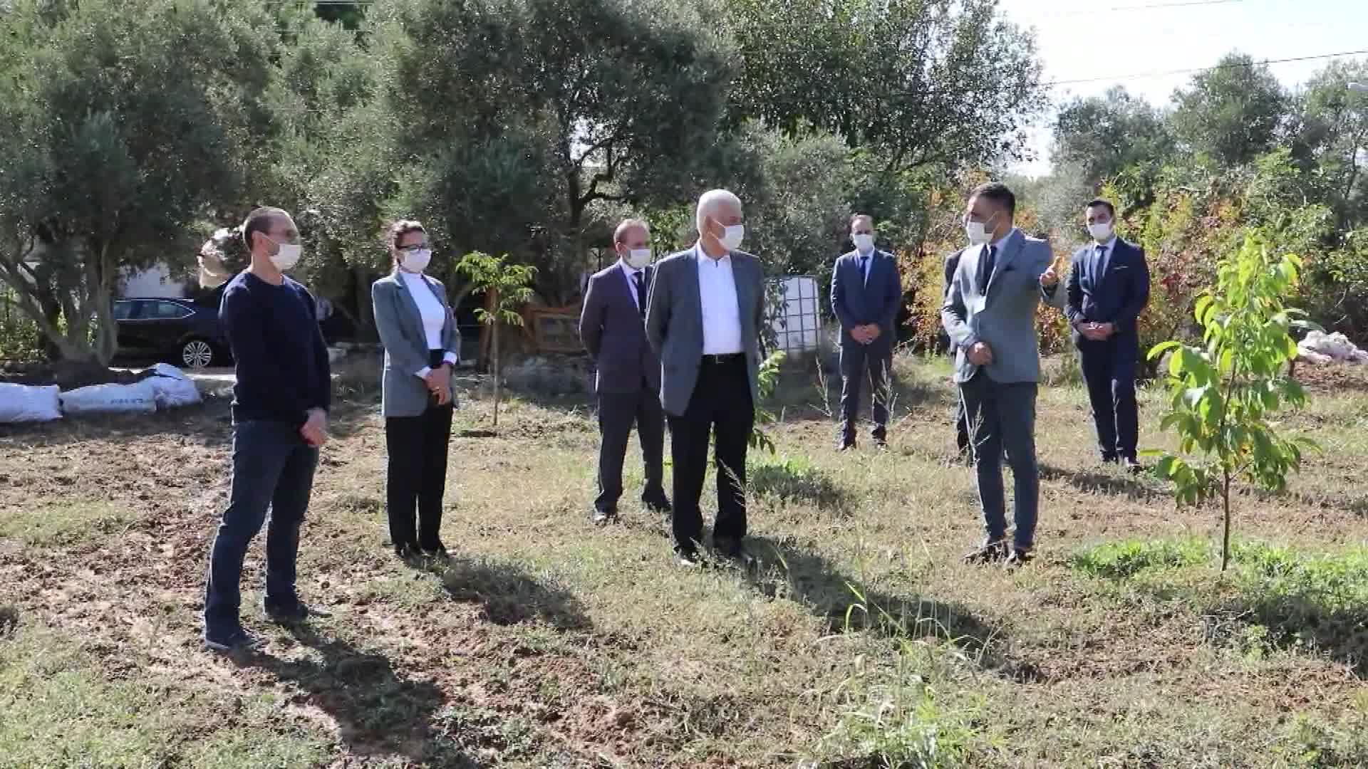 MUĞLA BELEDİYE BAŞKANI GÜRÜN: "TURİZMDEN DAHA FAZLA GELİRİ TARIMDAN ALABİLİRİZ"