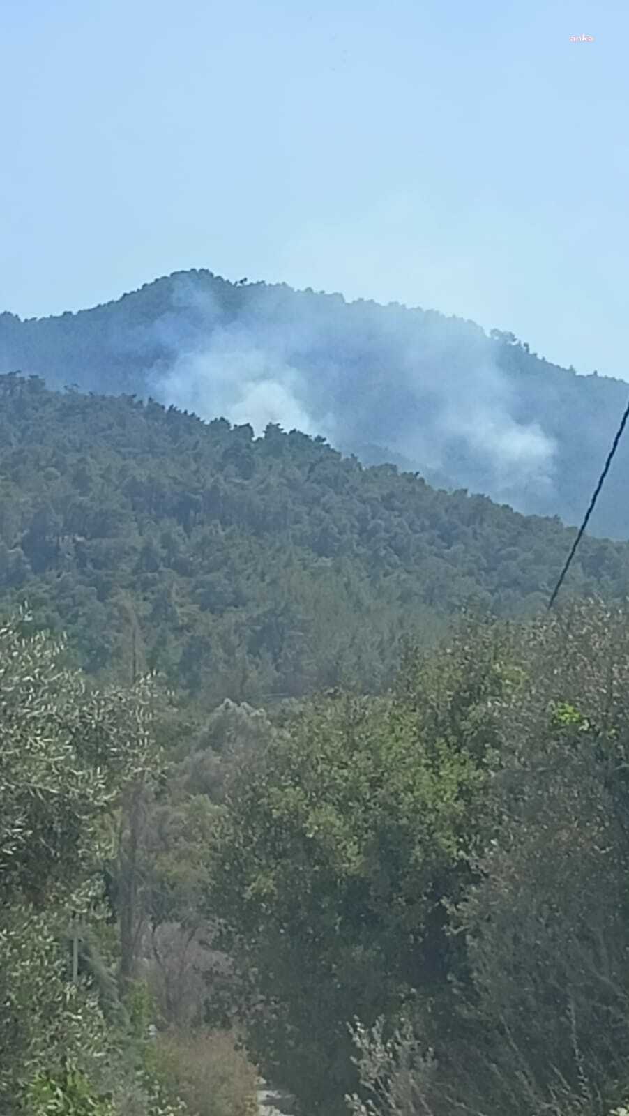 İzmir Büyükşehir Belediyesi İtfaiye ekipleri, Kemalpaşa yangınına müdahale ediyor