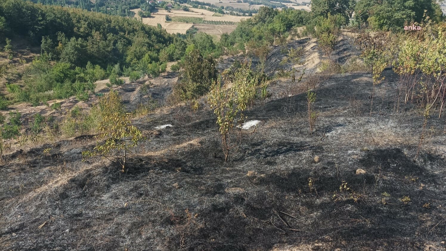 Amasya'da çıkan yangında 10 dönüm meyve bahçesi zarar gördü