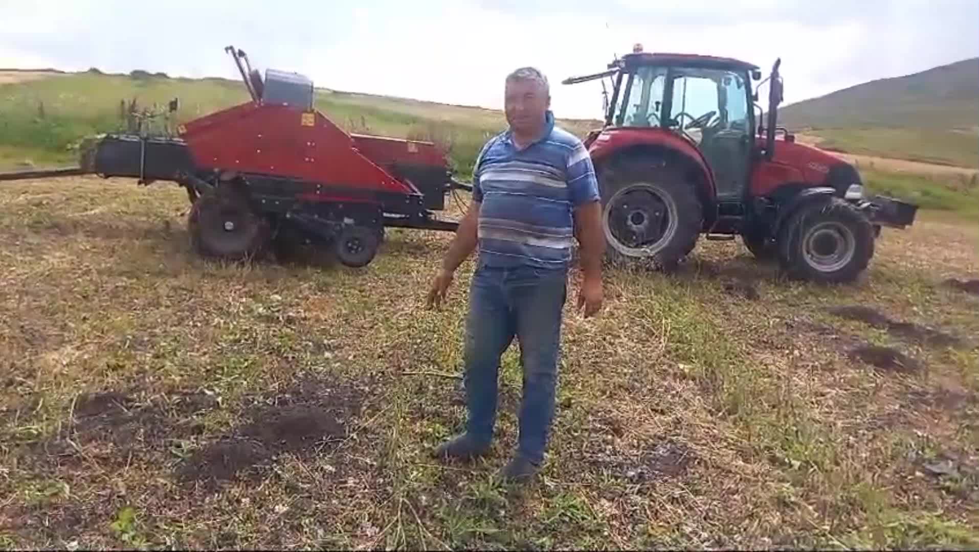Göleli çiftçi: Tarlaları fareler bastı