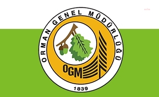 OGM'den 'Güvercinlik Koyu' açıklaması: "Alanın otellere tahsis işlemi yangından önce yapılmıştır"