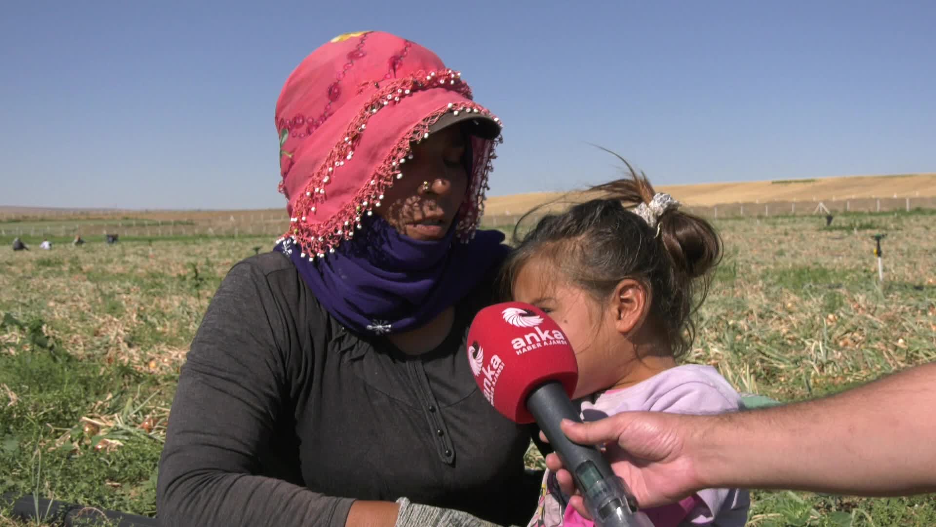 Mevsimlik tarım işçisi kadınların zorlu mesaisi: "Beraber çalışıyoruz, bizim erkeklerden ne farkımız var?"