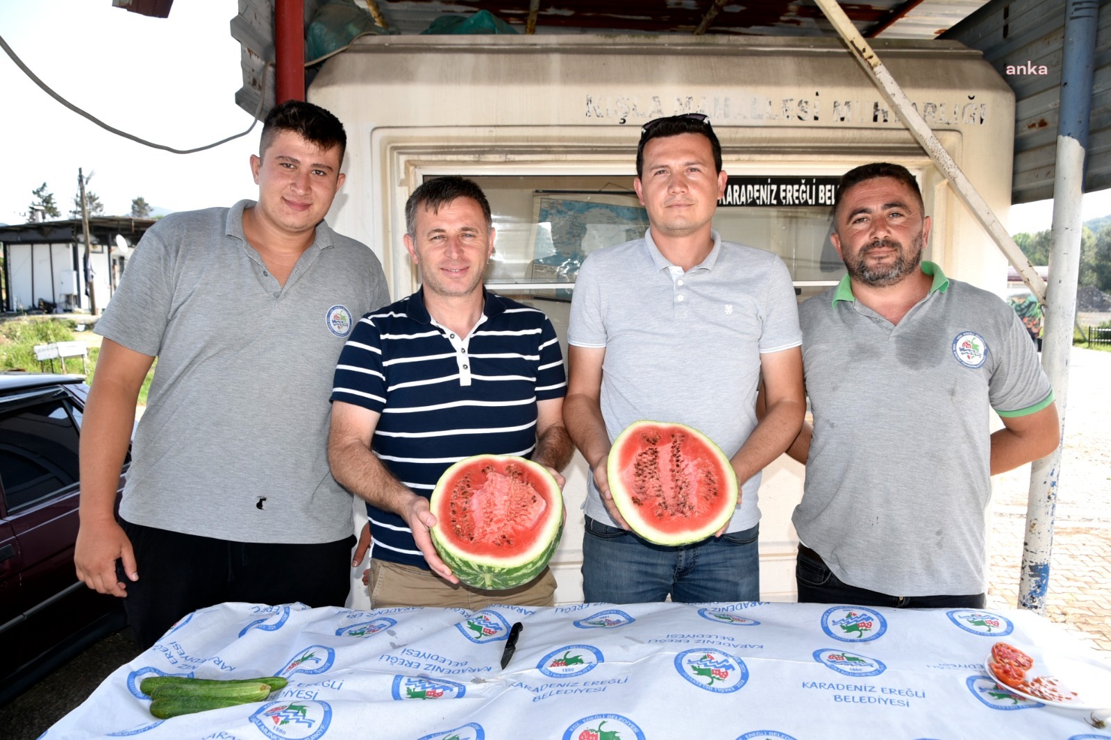 Karadeniz Ereğli Belediyesi'nin 'Yerel Tohum Projesi'nde hasat devam ediyor