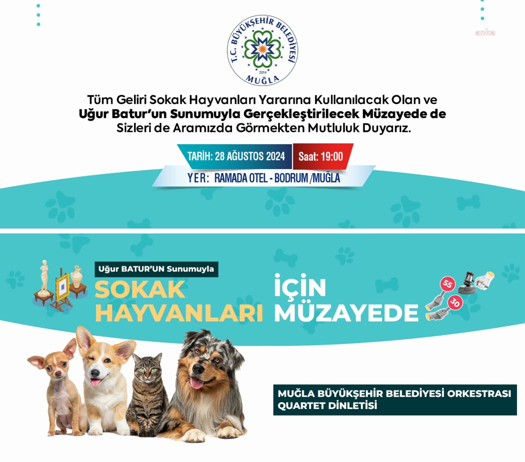 Muğla Büyükşehir Belediyesi’nden sokak hayvanları yararına müzayede