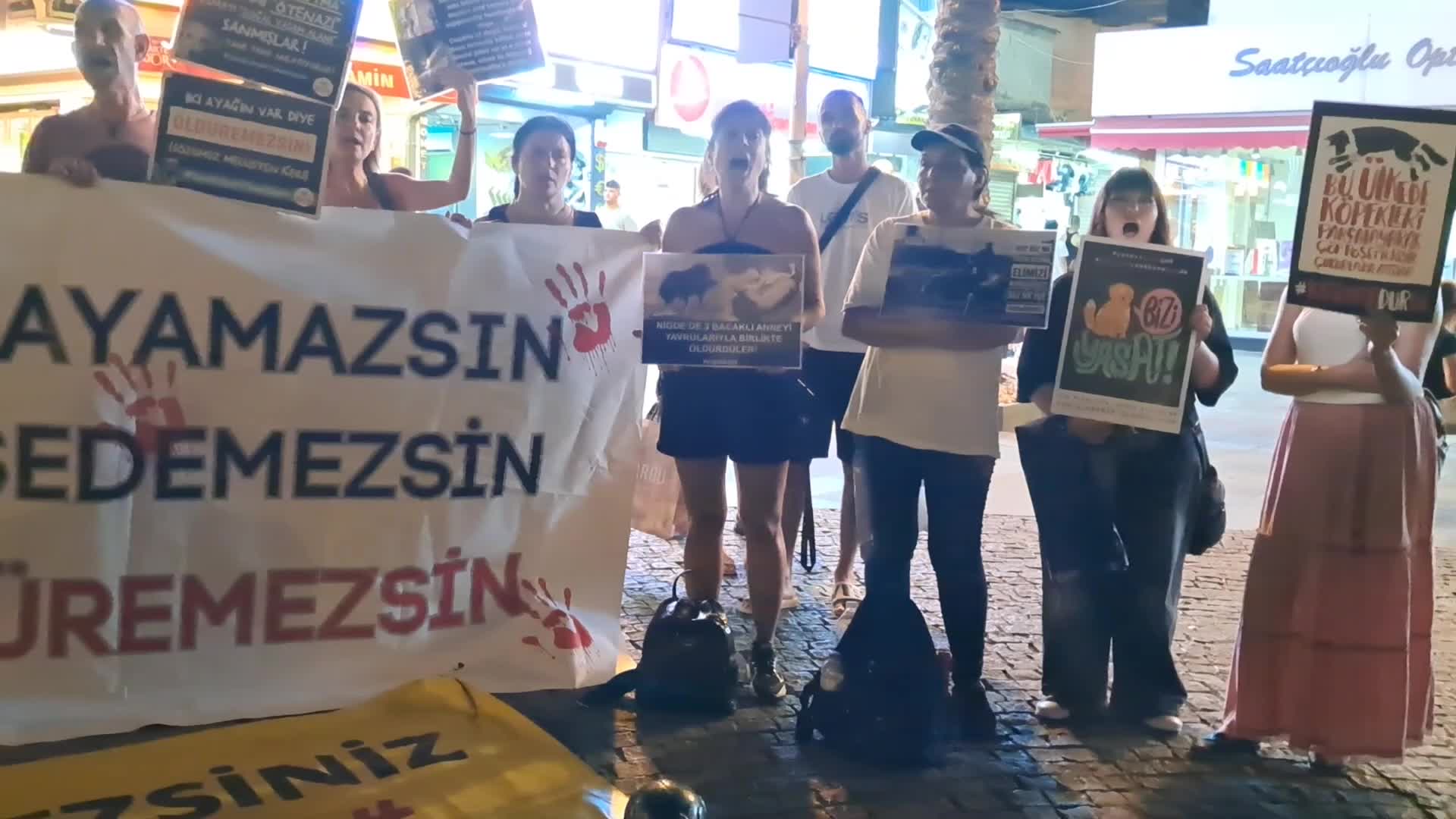 Antalya’da Hayvanseverlerden tepki: “Saldırganlar bu cesareti hayvanların öldürülmesini meşrulaştıran, iktidardan almaktadır”
