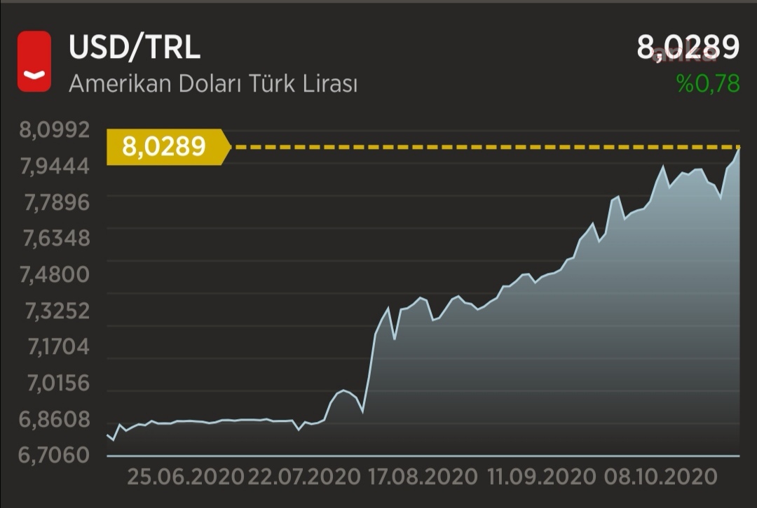 DOLAR 8,03 İLE REKOR KIRDI