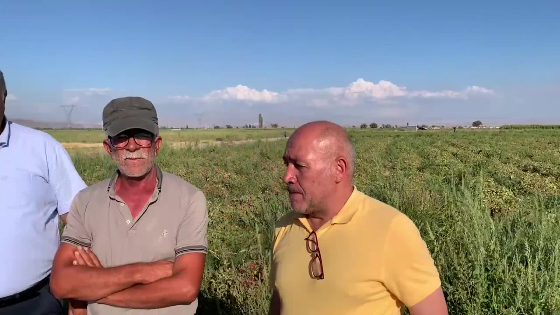 Ömer Fethi Gürer, domates üreticilerinin derdini dinledi... Üreticiler isyan etti: "Salça fabrikalarına borçlu kalıyoruz"