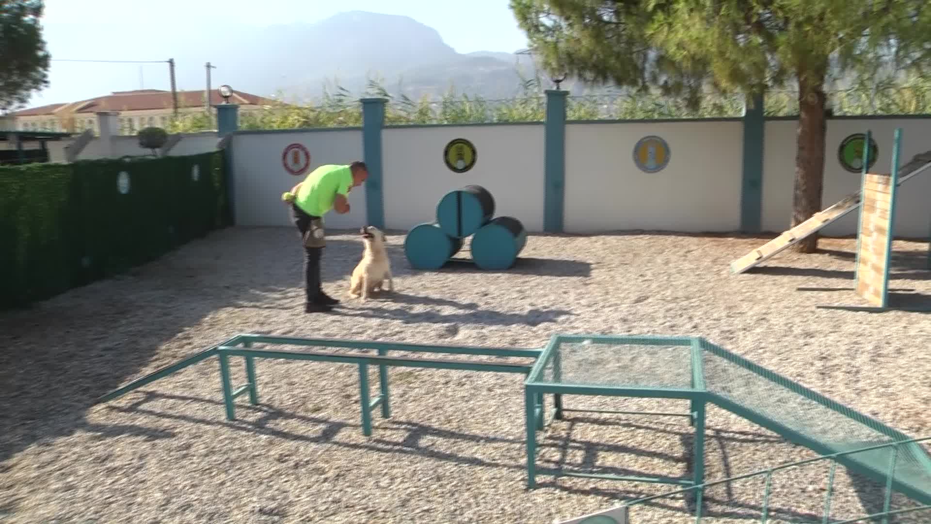 Manisa Büyükşehir Belediyesi'nin sokak hayvanları için başlattığı 'Can Yoldaşım' projesi sürüyor