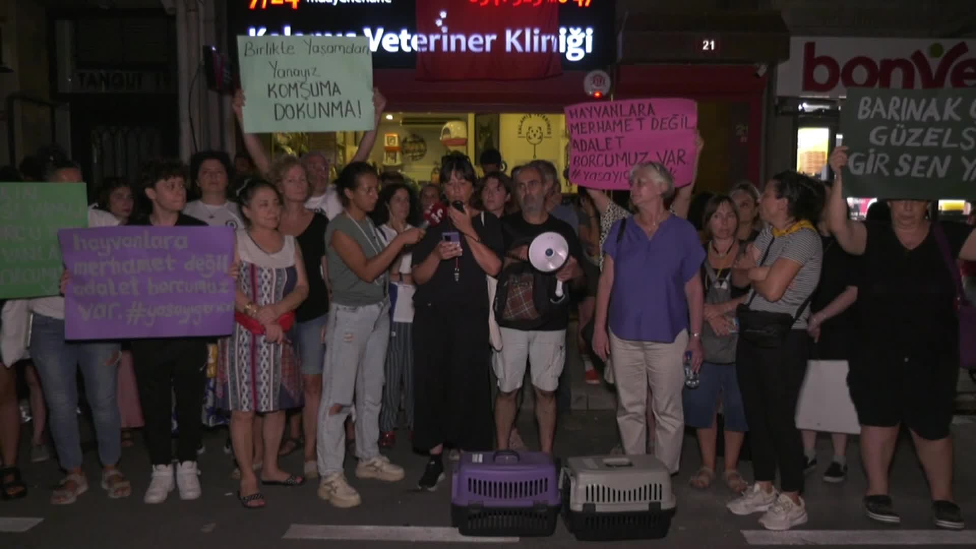 Kalamış'taki kedi zehirlenmeleriyle ilgili açıklama: "Sokak hayvanlarının yaşam haklarını savunacağız"
