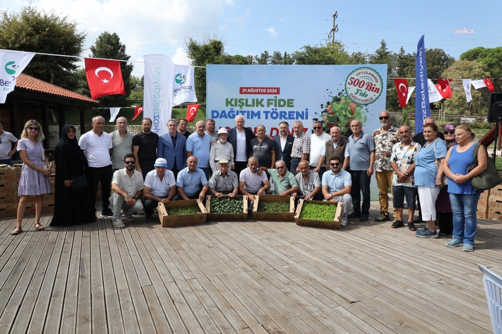 Beykozlu çiftçiye 500 bin kışlık fide dağıtımı başladı
