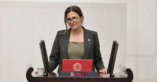 Türkan Elçi, Diyarbakır’da işletmelere yönelik düzenlenen saldırıları TBMM'ye taşıdı