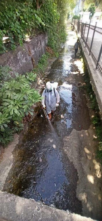 Karadeniz Ereğli Belediyesi, ilaçlama çalışmalarını sürdürüyor