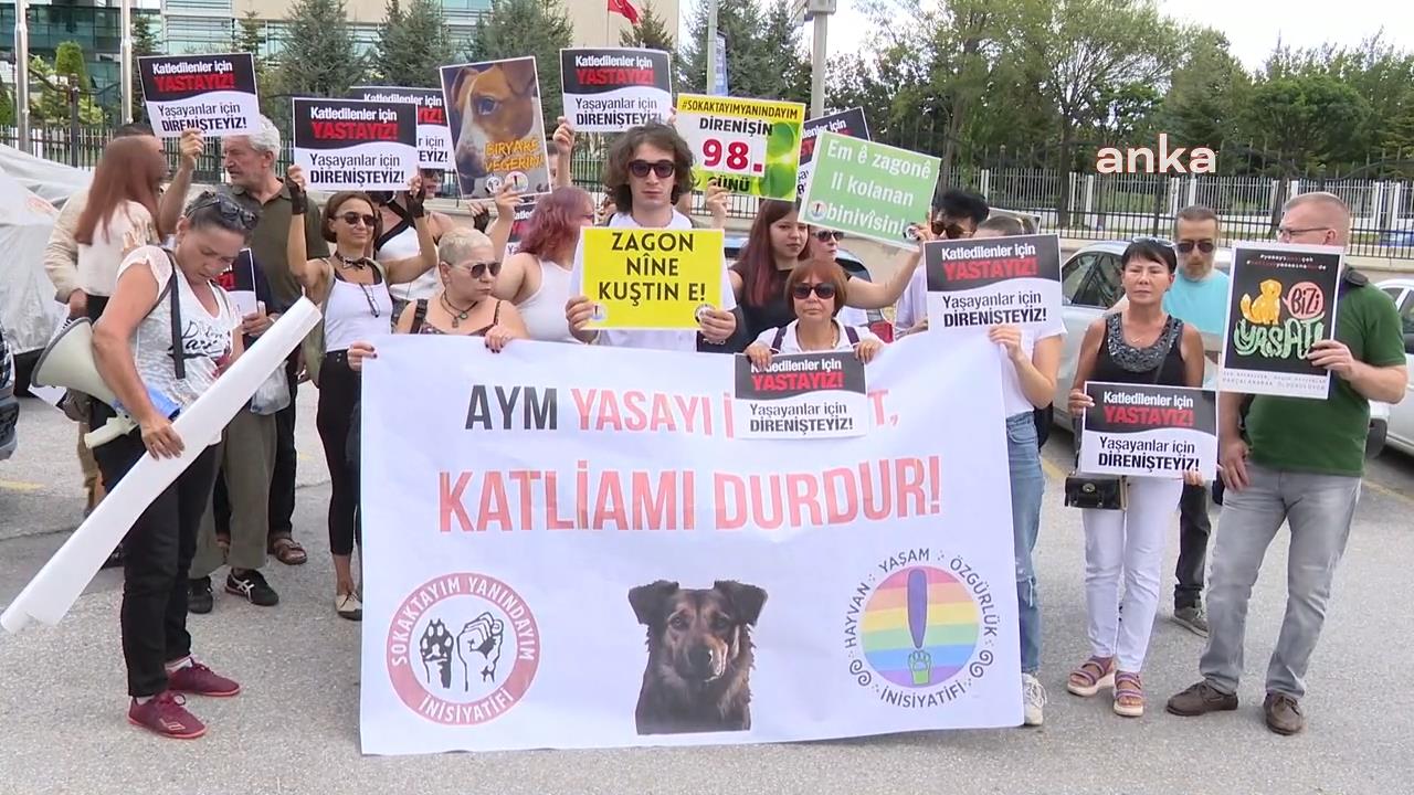 Yaşam hakkı savunucuları, Anayasa Mahkemesi önünde yaşam nöbeti tutacak