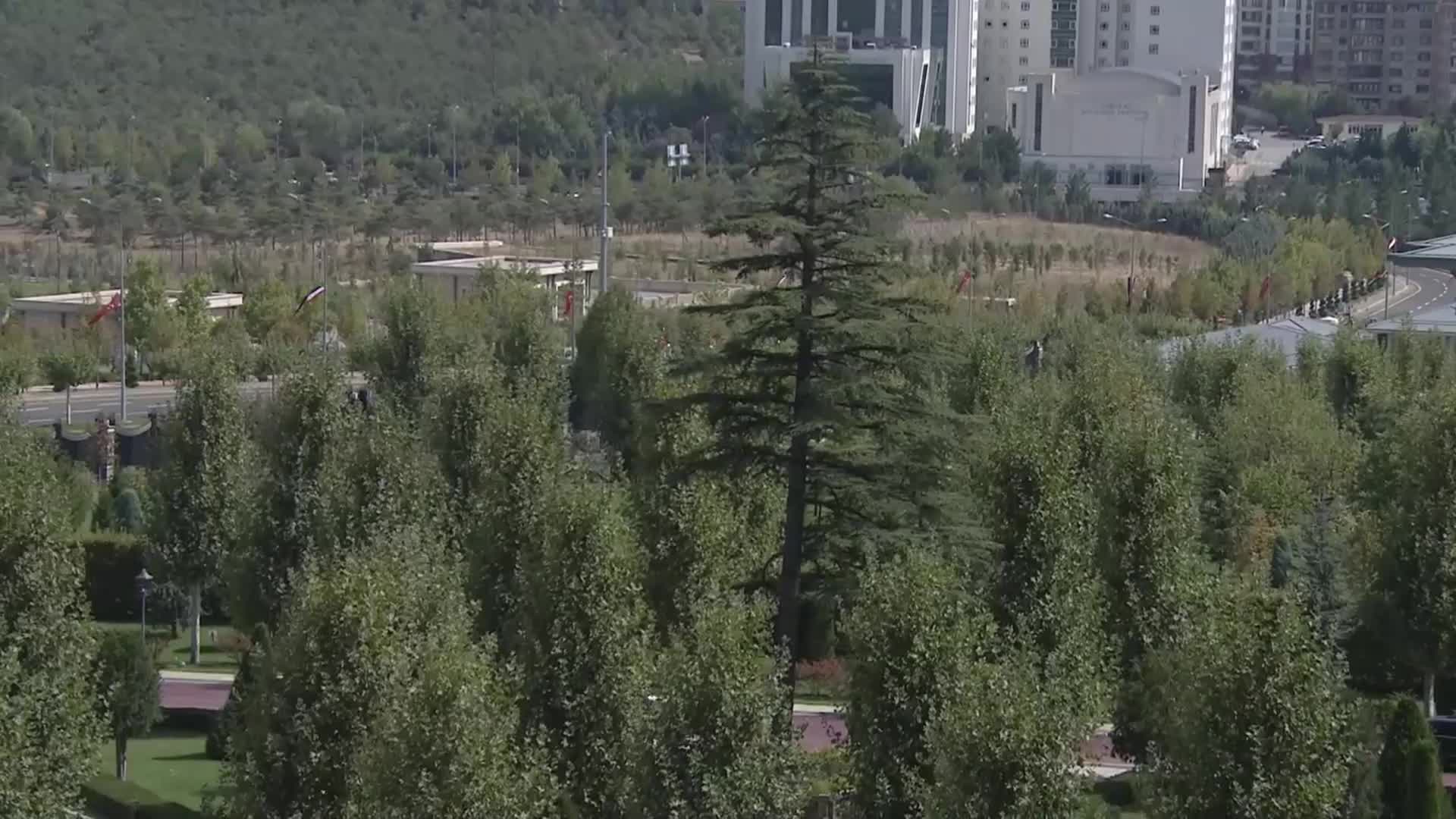 12 yıl sonra ilk ziyaret.. Mısır Cumhurbaşkanı Sisi Türkiye'ye geldi