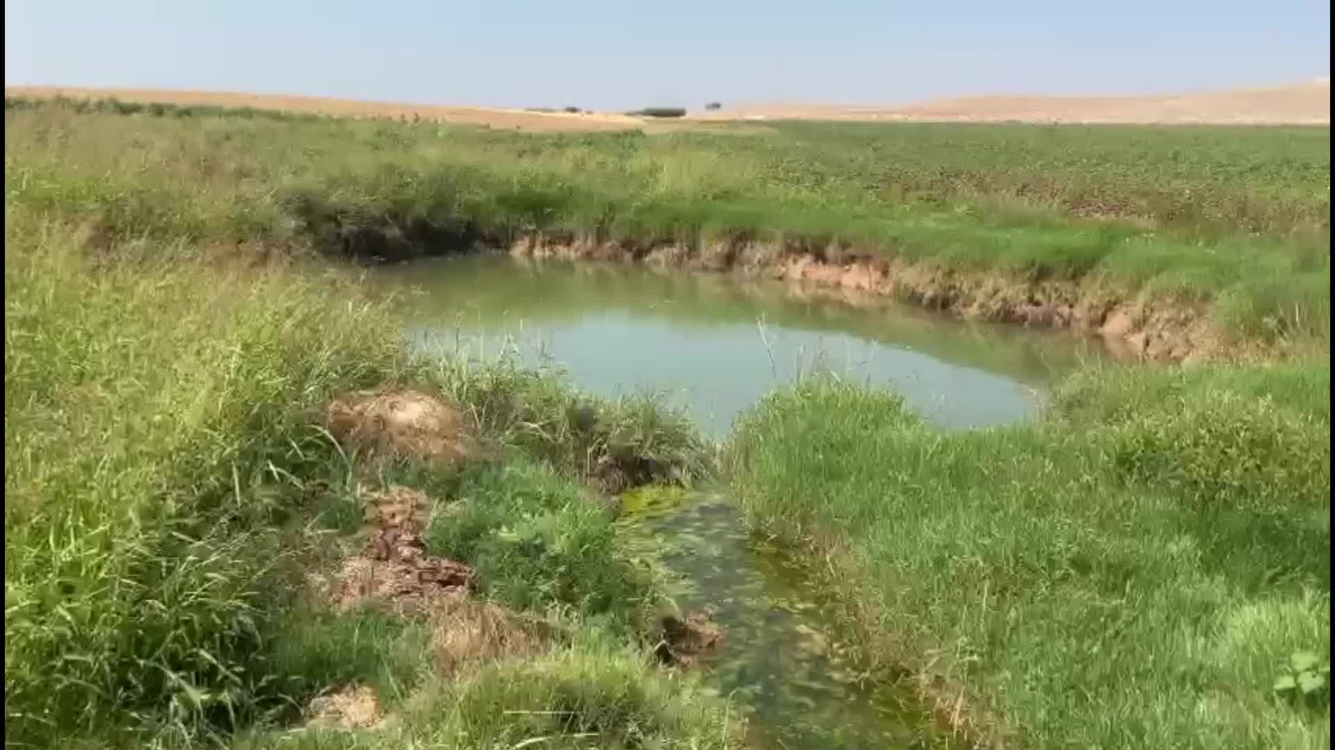 Harran Ovası'nda oluşan obruklar çiftçiyi tedirgin ediyor: "Devam ederse tarlayı ekmekten vazgeçeceğiz"
