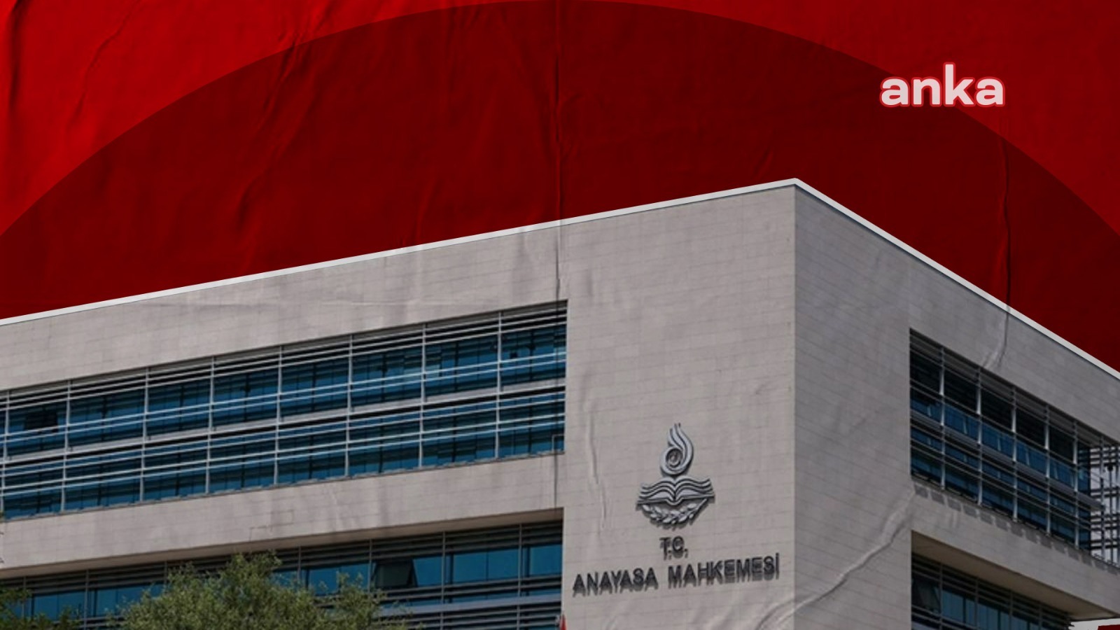 AYM, sokak hayvanlarına ''ötenazi''yi de öngören yasayı esastan görüşecek