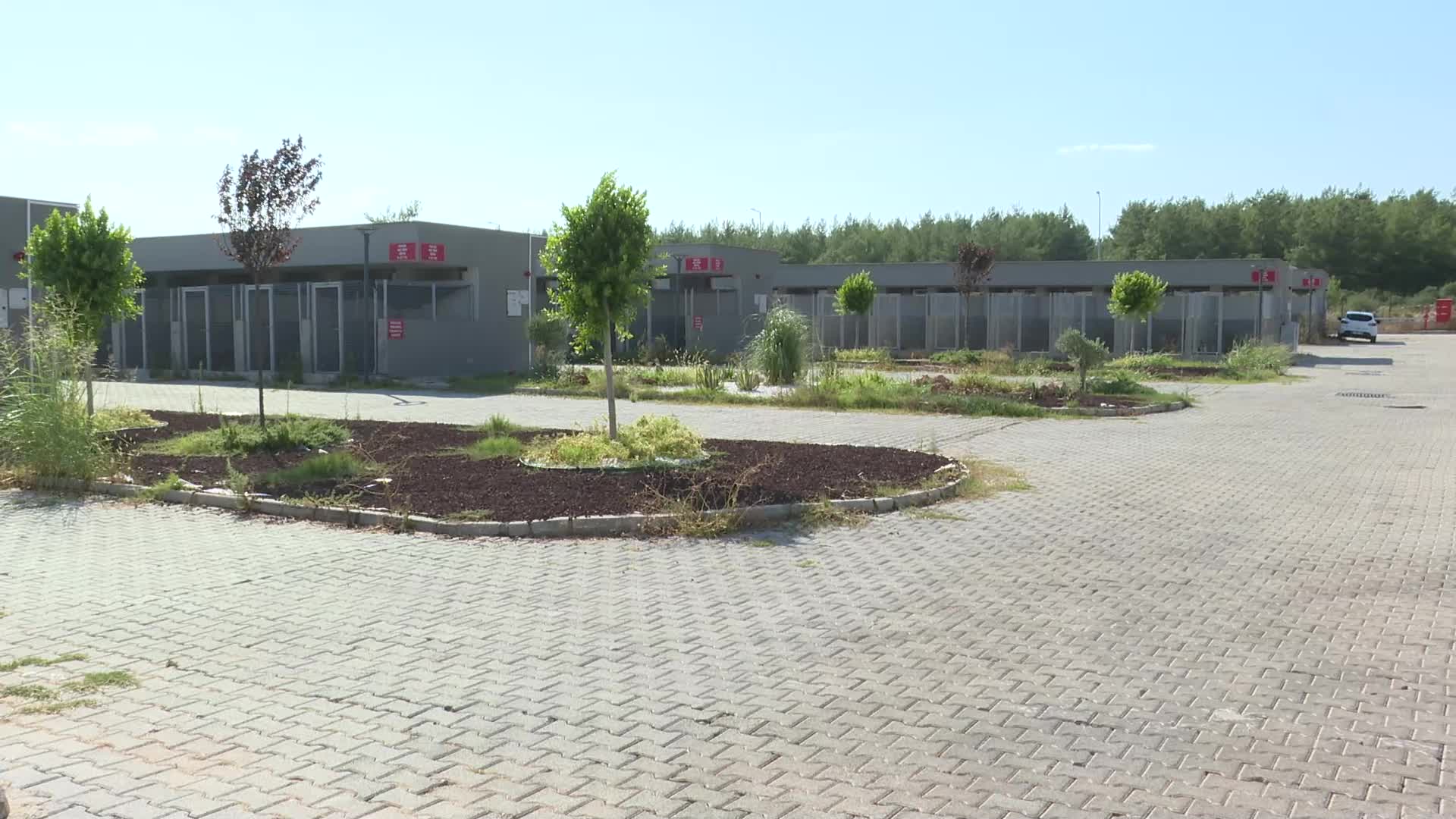 Antalya Büyükşehir Belediyesi Geçici Bakımevi ve Rehabilitasyon Merkezi’nde sahiplendirme yoğunluğu