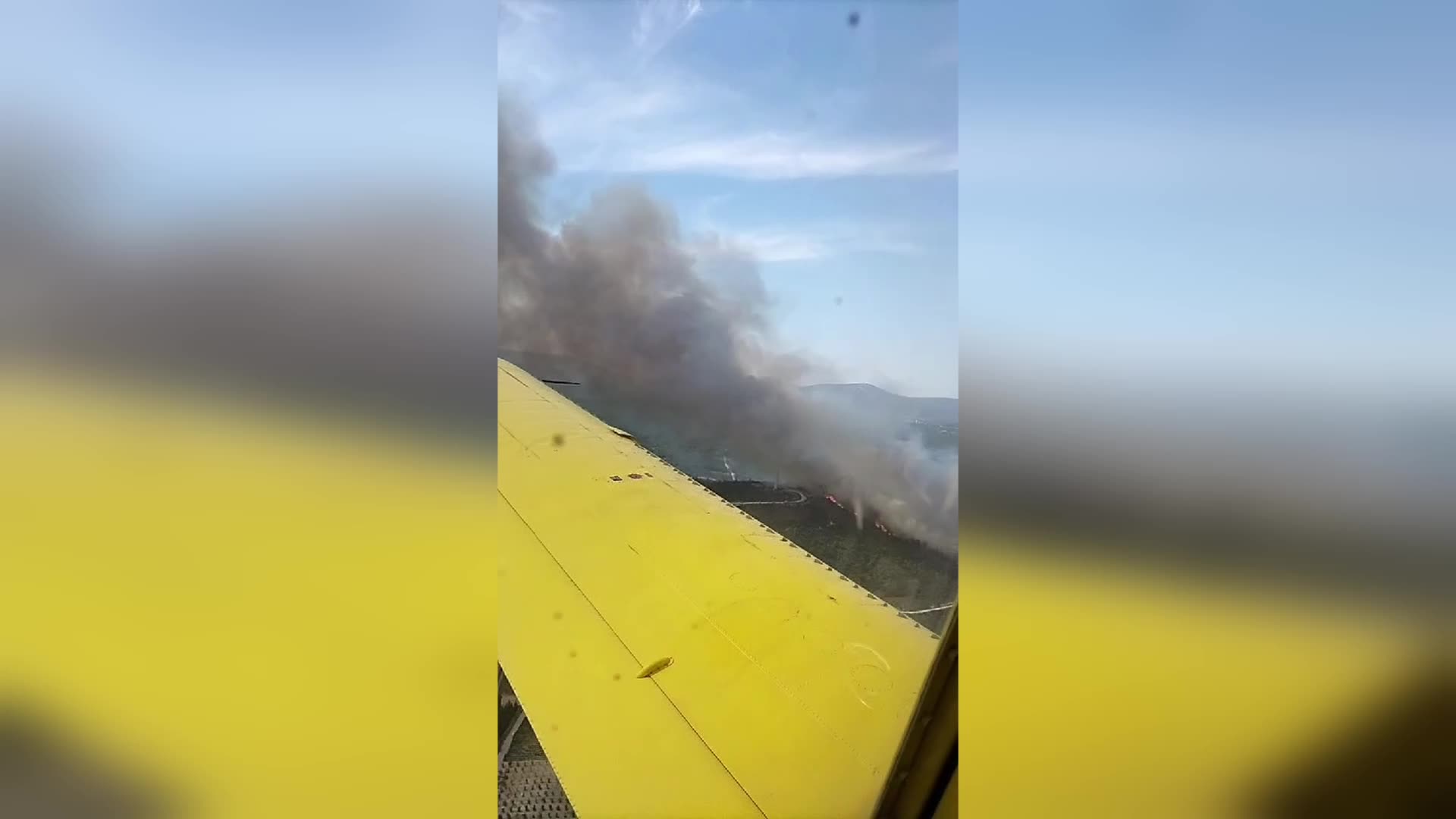 İzmir’in Urla ilçesinde orman yangını çıktı