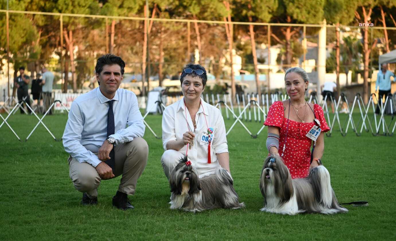 'Kuşadası İnternational Dog Show' başladı