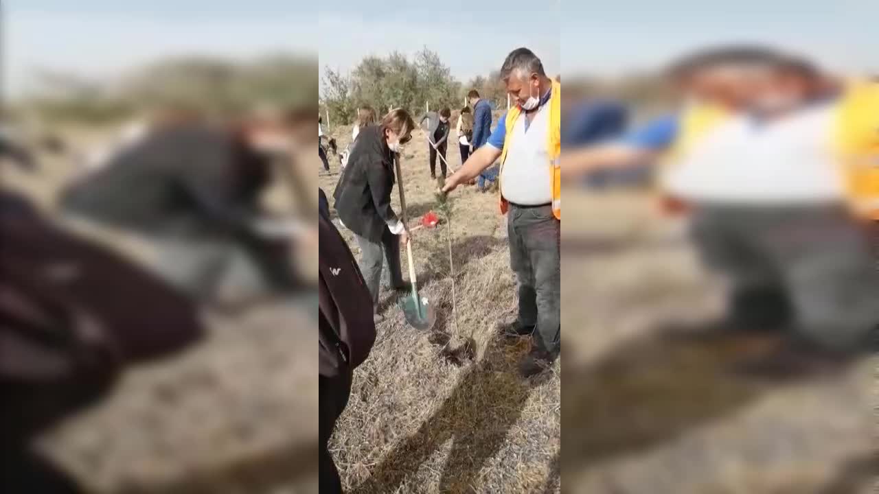 29 EKİM KADINLARI DERNEĞİ’NDEN 100 FİDAN İLE  “KADINLAR YAŞASIN ORMANI”