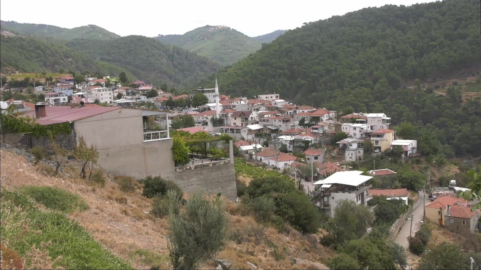 Karabağlar Belediye Başkanı Kınay'dan "Kavacık Üzüm Festivali" daveti... "Karabağlar'ın değerini arttırmak için hep birlikte hafta sonu burada olmayı diliyoruz"