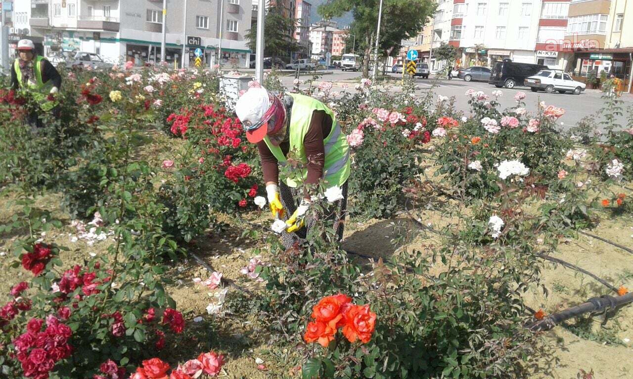 SEYDİŞEHİR BELEDİYESİ'NDEN ÇEVRE DÜZENLEMESİ VE SONBAHAR BAKIMI
