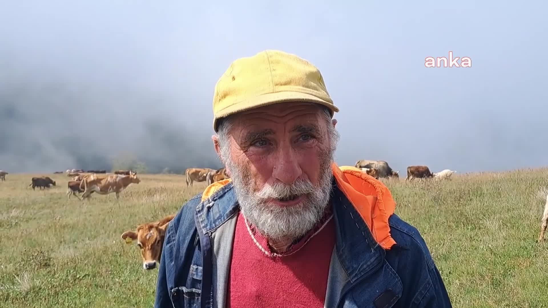 Artvin'in Ardıçlı ve Çimenli köylülerinden 'maden' tepkisi: "Madenciler şimdi de gözlerini meralara dikmişler"