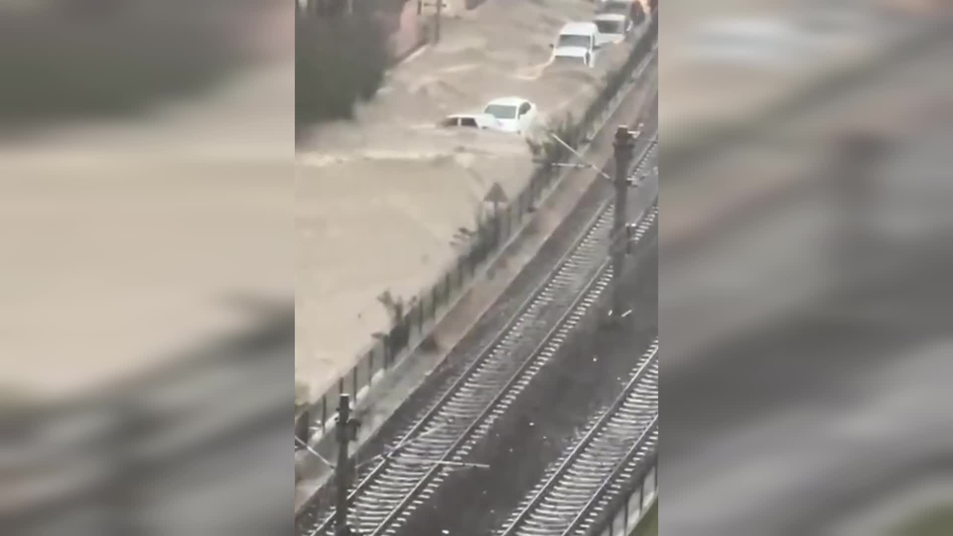 Adana'da yağan şiddetli yağmur sonrası ağaçlar devrildi ev ve iş yerlerini su bastı