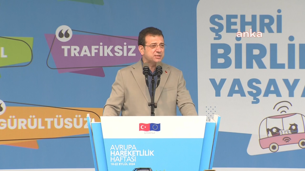 Eyüpsultan'da kedilere kezzap ve asitle saldıran kişiye 7 yıl hapis cezası