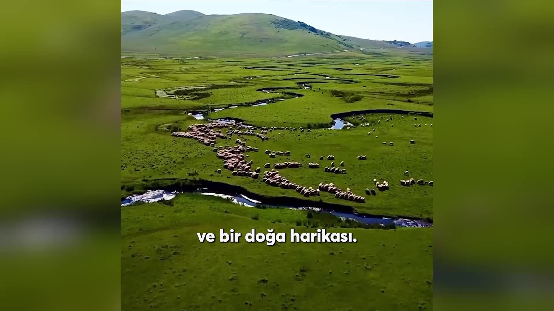Esenyurt Belediye Başkanı Özer’den Aybastı Perşembe Yaylası’na ziyaret