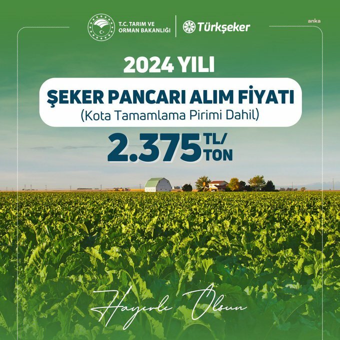 Şeker pancarı alım fiyatı açıklandı: Ton başına 2 bin 375 lira