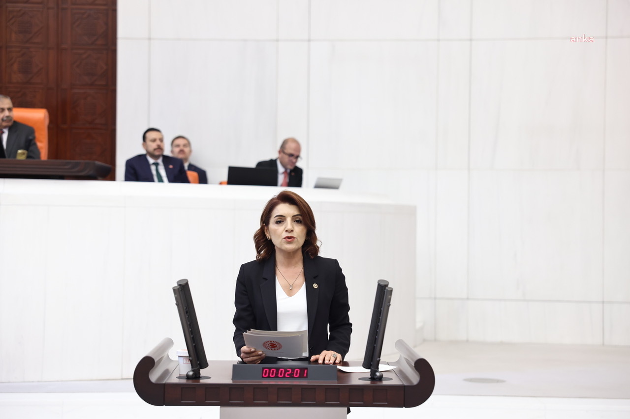 Gülcan Kış'tan, Bakan Ali Yerlikaya'ya: Kadın cinayetlerinin önünü açan bireysel silahlanmayı önlemek için planınız var mı?
