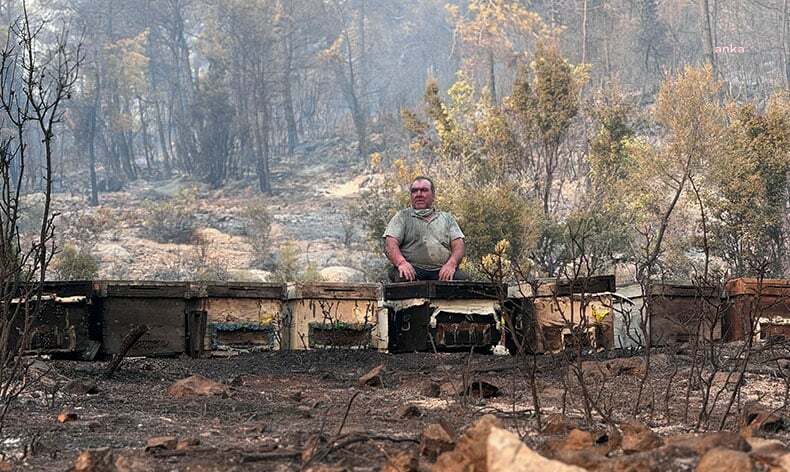 Muğla Büyükşehir Belediyesi’nden orman yangınlarından etkilenen arıcılara destek
