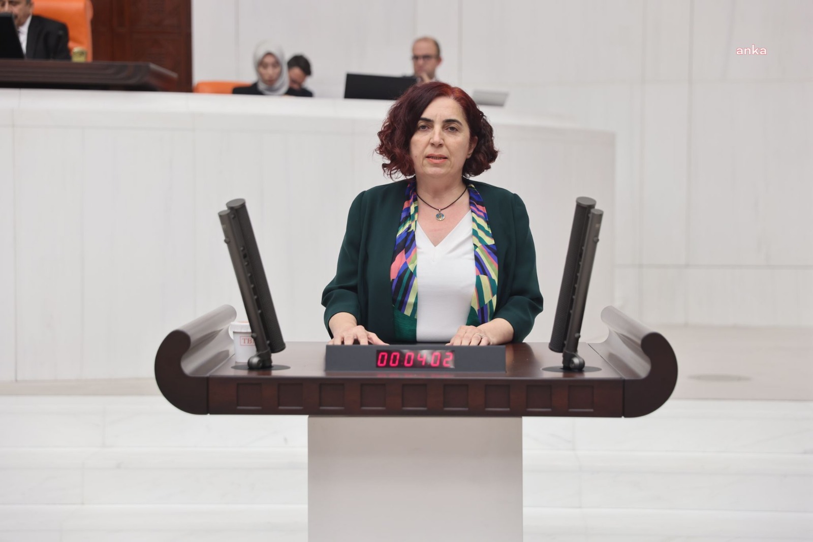 DEM Partili Çelenk, Bakan Şimşek'e BDDK düğününü sordu: Bu durumla ilgili inceleme başlatılmış mıdır?