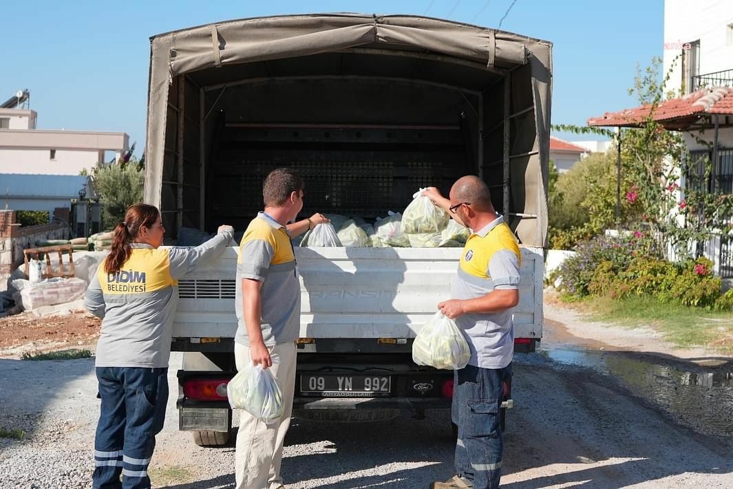 Didim Belediyesi’nin yetiştirdiği ürünler, ihtiyaç sahiplerine ulaştırılıyor