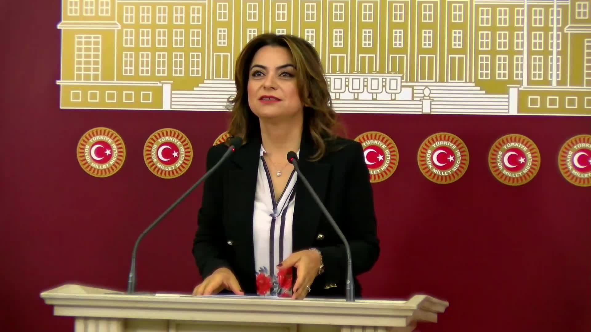 Gülüstan Kılıç Koçyiğit: "Meclis sarayın bando takımı değildir”