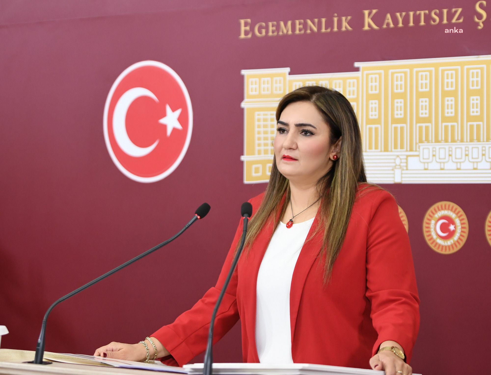 Sevda Erdan Kılıç: ''Kök hücre nakli bekleyen Cem Şahin'in ölümü üzerine soruşturma başlatıldı"