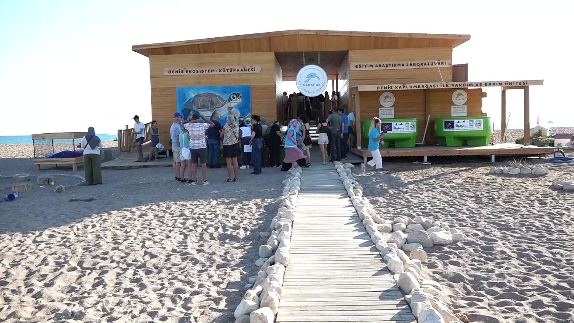 Manavgat Sahili'nde deniz kaplumbağaları doğaya salındı