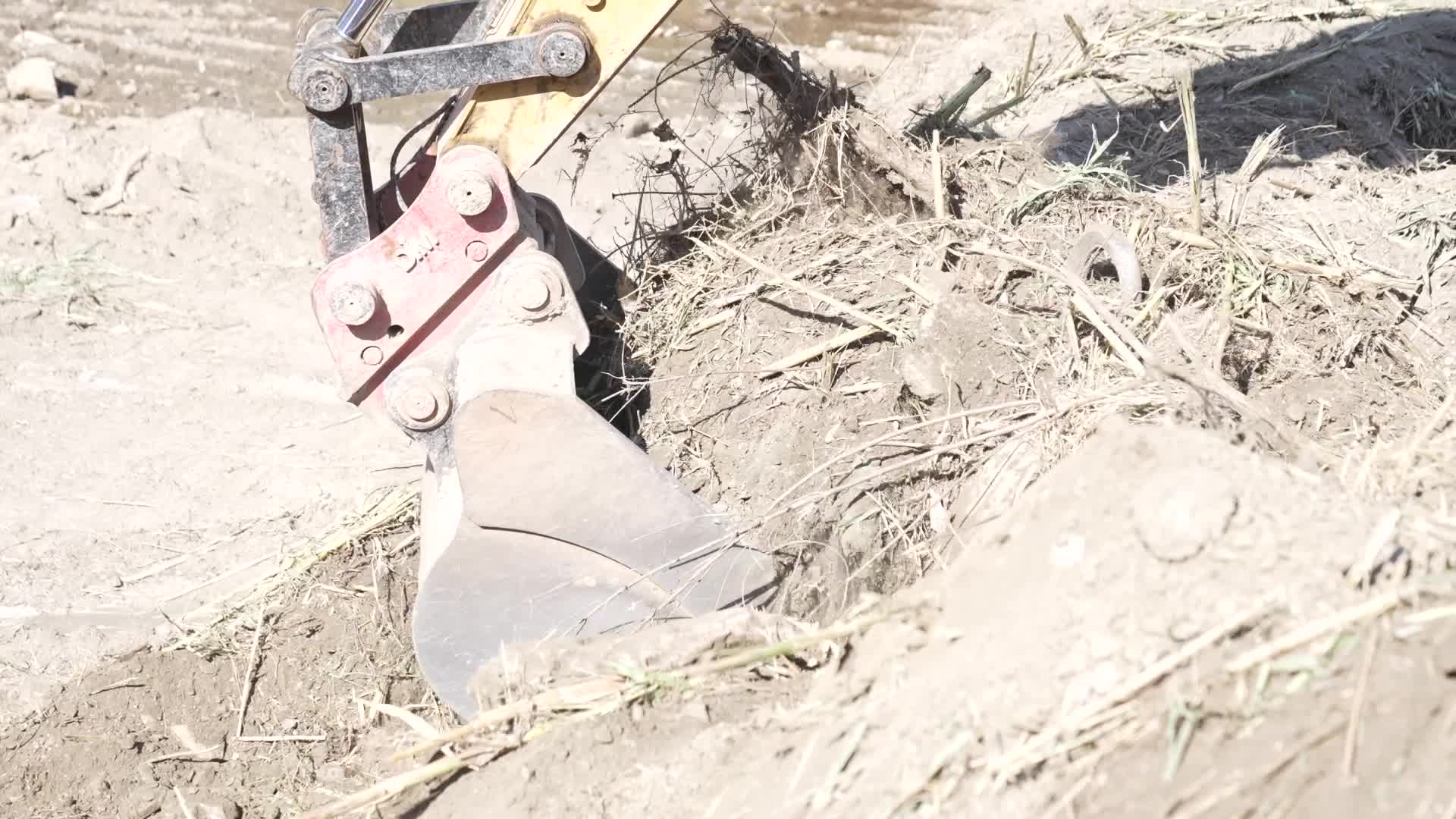 İzmir'de derelerden  150 ton atık çıkarıldı